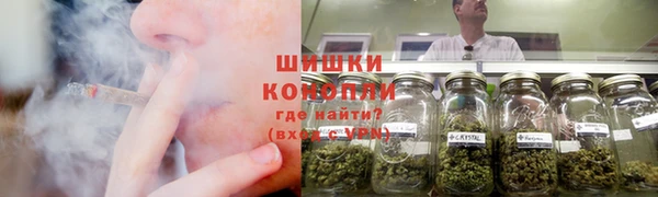 тгк Ладушкин
