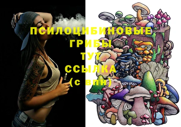 тгк Ладушкин