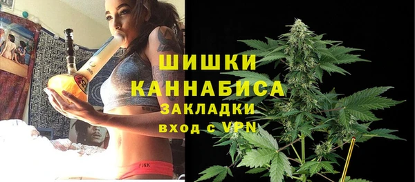 тгк Ладушкин