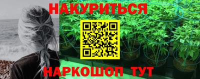 apvp Гатчина