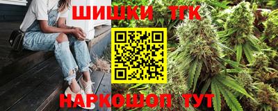 apvp Гатчина
