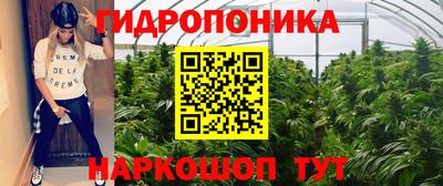 МДПВ Гусь-Хрустальный