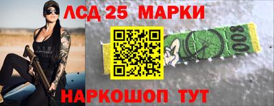 apvp Гатчина
