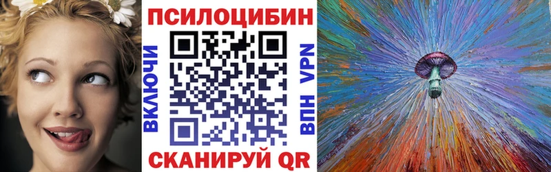 Псилоцибиновые грибы Psilocybine cubensis  закладка  Ижевск 