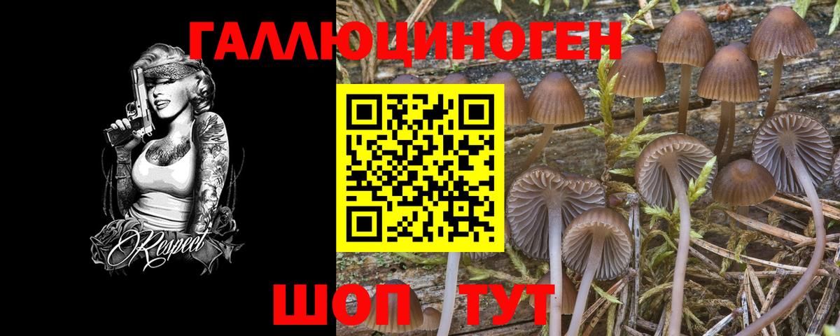 где найти наркотики  Псилоцибиновые грибы MAGIC MUSHROOMS  Ижевск  Галлюциногенные грибы MAGIC MUSHROOMS 
